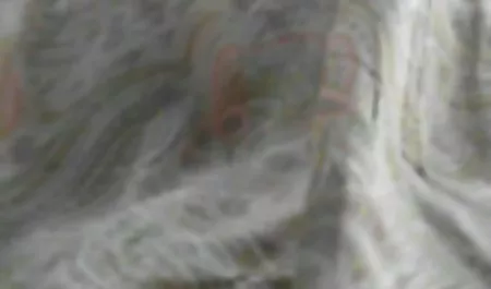 폴란드인 섹스 청소년문 우크라이나